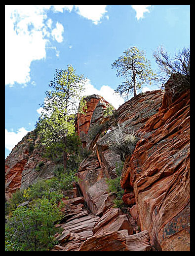 angels landing